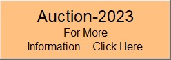 Auction-2023